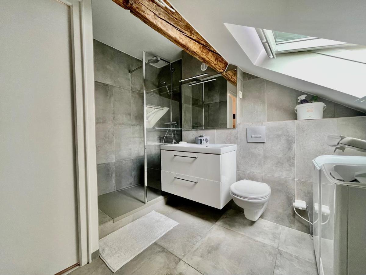 Apartmán La Maison De Jade Gex Exteriér fotografie